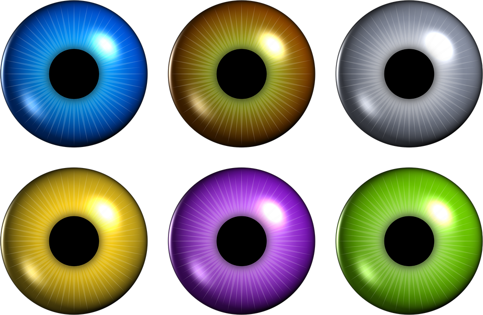 Iris Clipart Eye Pupil - Eye (960x626)