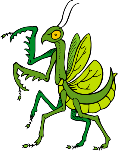 Cricket Insect Clipart Free - Mantis (500x500)