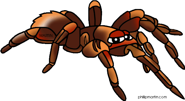 Tarntula Clipart - Mini Beasts Clip Art (648x372)