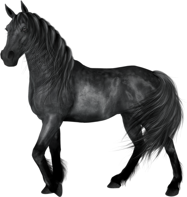 Black Horse Clipart - Black Horse Png (625x656)