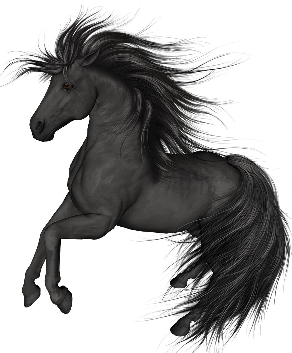 Black Horse Png Clip Art - Black Horse Clip Art (1042x1246)
