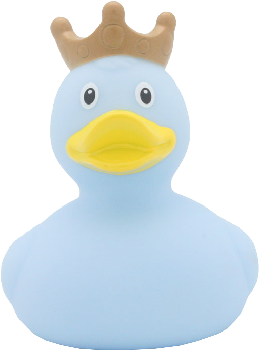Pato Azul Corona - Blue Duck (800x800)