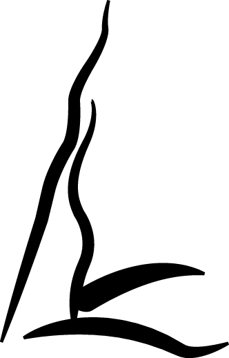 Captioned Graphicaccording To Joseph Smith Papers, - Captioned Graphicaccording To Joseph Smith Papers, (332x518)