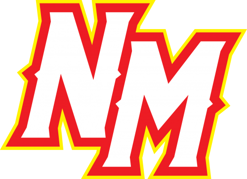 Rebranding The Thunderbirds Old Hat Sports Branding - N M (500x363)