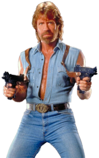 Chuck Norris Png - Chuck Norris (406x558)