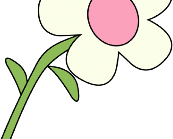 White Flower Clipart - Natural And Manmade Resources (640x480)