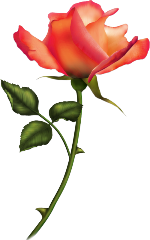 Tattoo Ideas - Romantische Rosen-karte 03 Grußkarte (500x800)