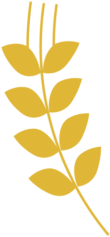 Gold Leaves Clipart Transparent (512x512)