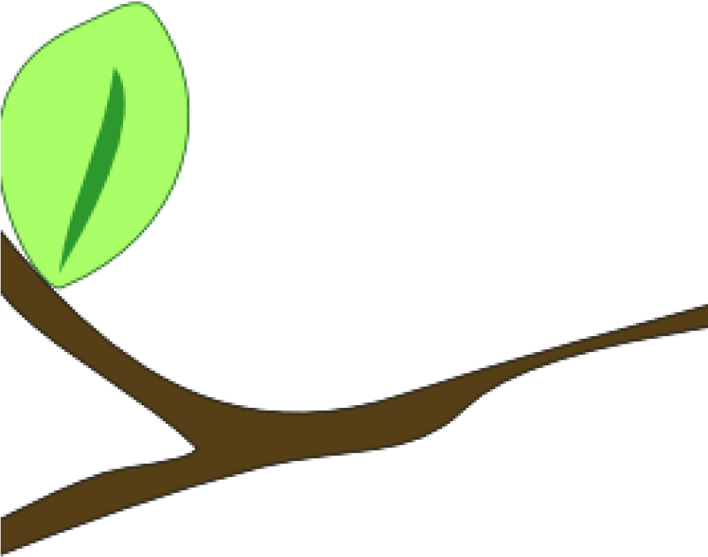 Branch for as
