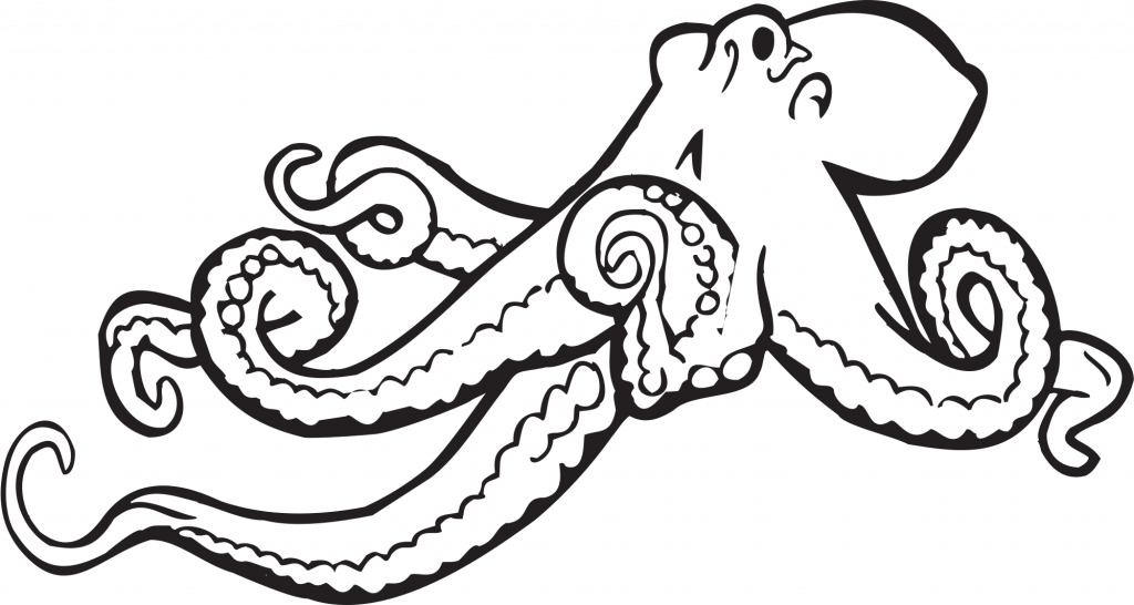 Black And White Octopus Clipart 2 By Lindsey - Octopus Clipart Black And White (1024x546)