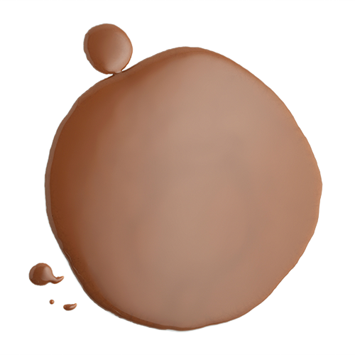 Pecan - Bonbon (500x500)