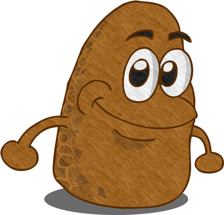 Cacao Beans Shall Be Taken From Ripe Pods, Adequately - Clip Art (1152x953)