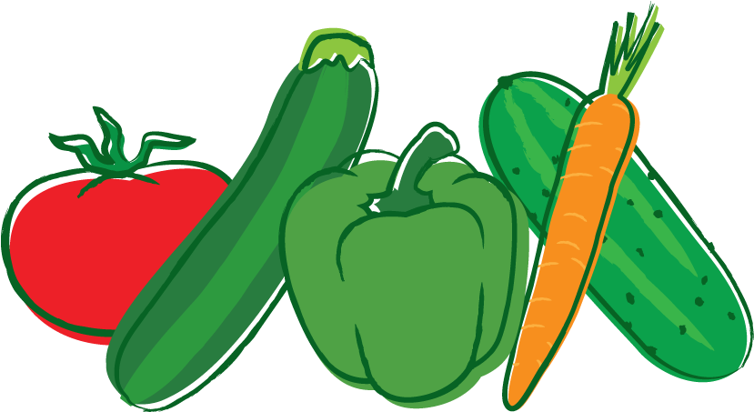 Organic Food Veggie Burger Vegetable Seed Clip Art - Vegetables Png Icons (1000x500)