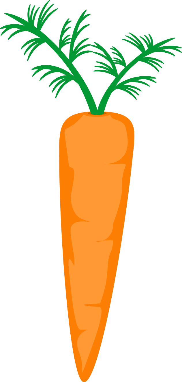 Carrot - Carrot (631x1321)