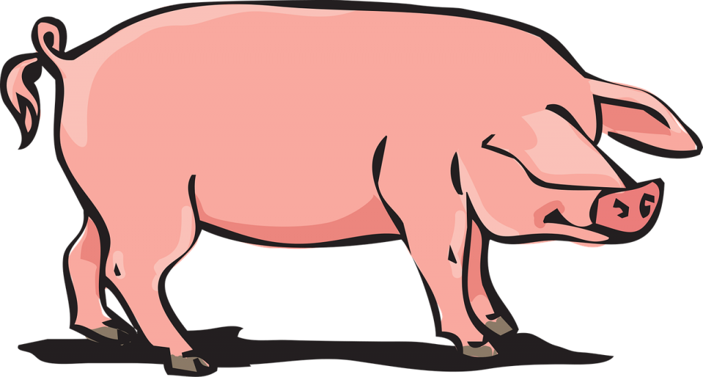 Pork Clipart Farm Pig - Animal Farm Pig (1024x550)