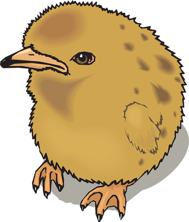 Fuzzy Baby, Farm, Bird, Chick, Animal, Fuzzy - Fuzzy Clipart (615x720)