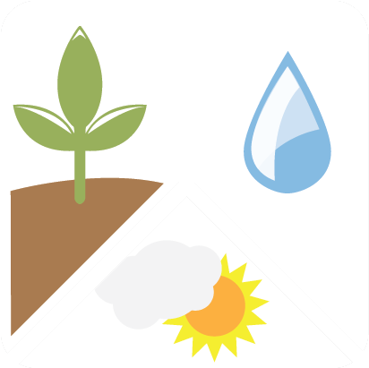 Top Crops In Central Valley California - Icono De Mensaje Naranja (430x430)
