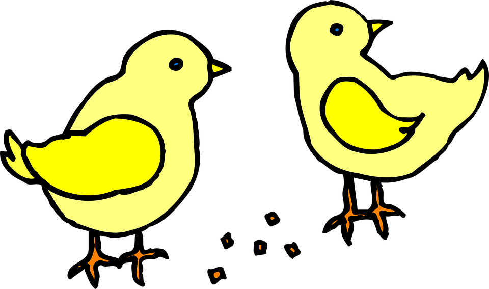 Food, Farm, Art, Feed, Chicks, With, Chick - Civciv Resmi Çizimi (960x567)