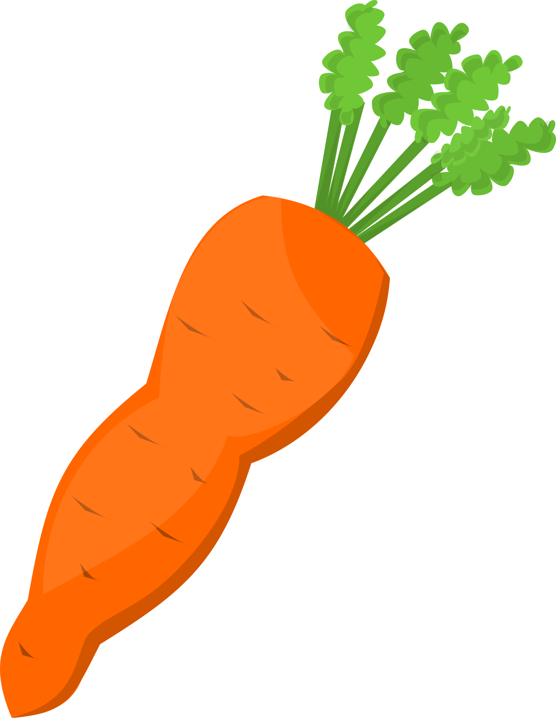 Carrot Clip Art - Clipart Carrot (1859x2400)