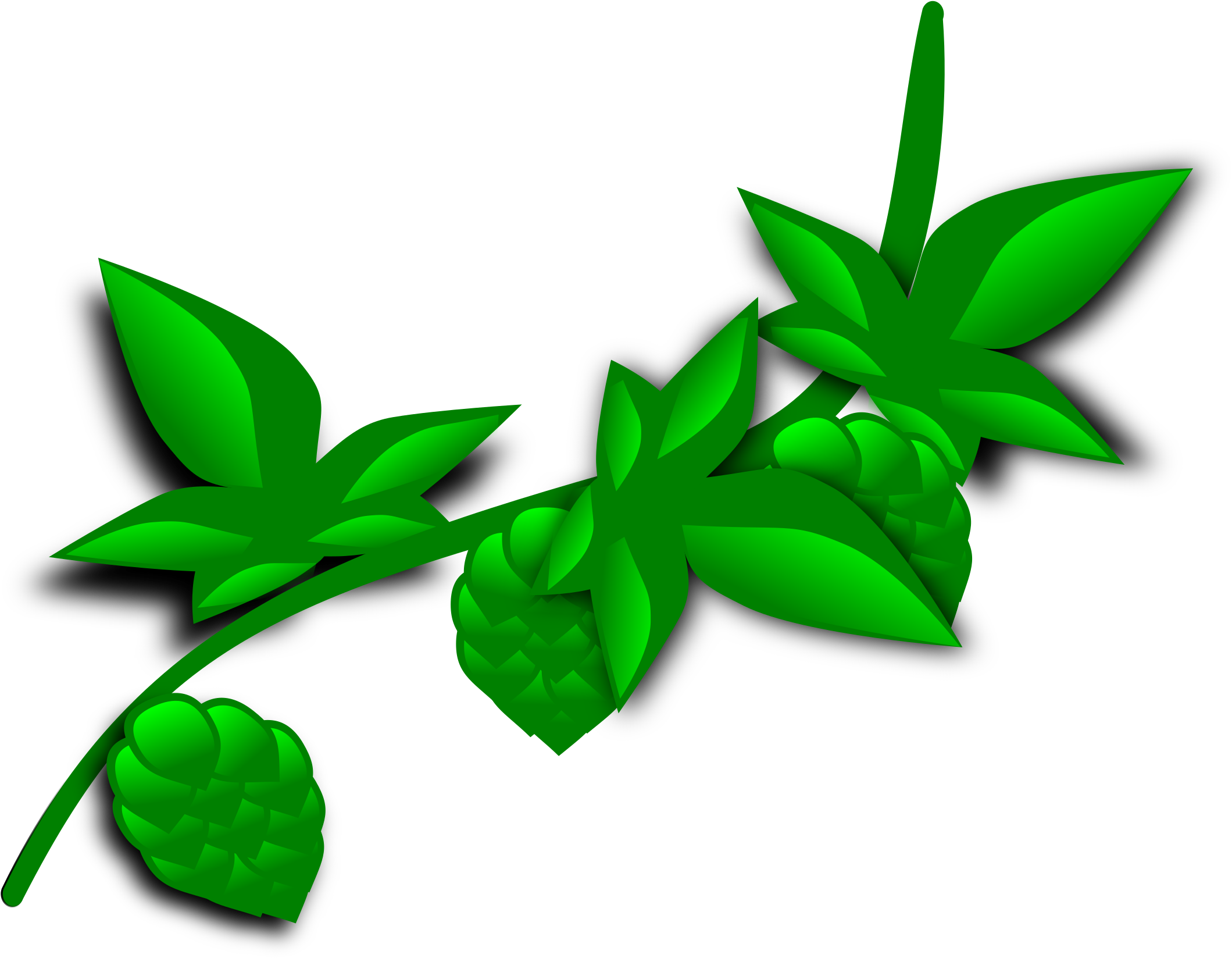 Big Image - Plant Clip Art (2400x1800)