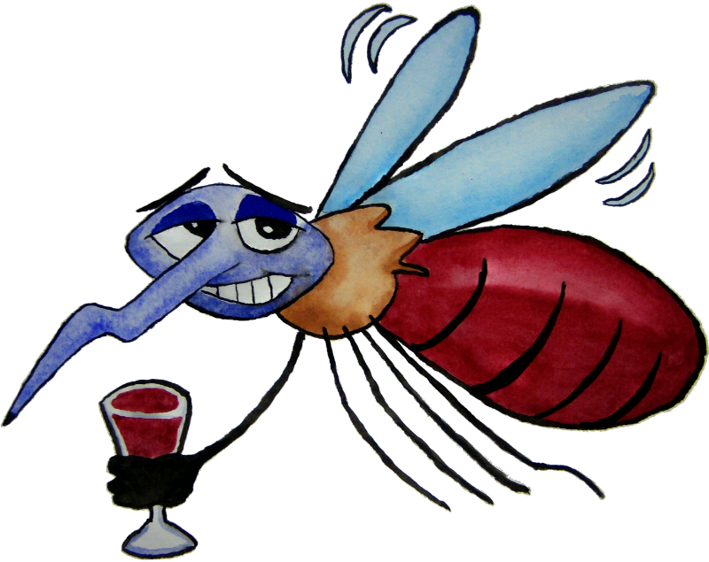 Mosquitoes - Adamsart - Drunk Mosquito Cartoon (800x635)