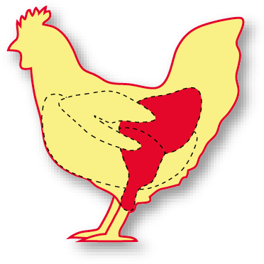Overview - Rooster (419x417)