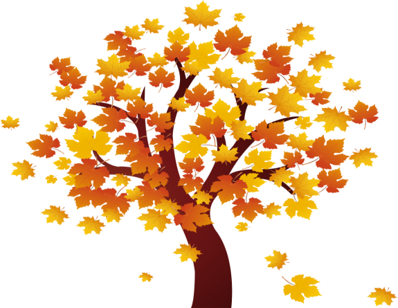 Cooking Classes Coming Up In September And October - Fall Tree Clip Art (575x445)