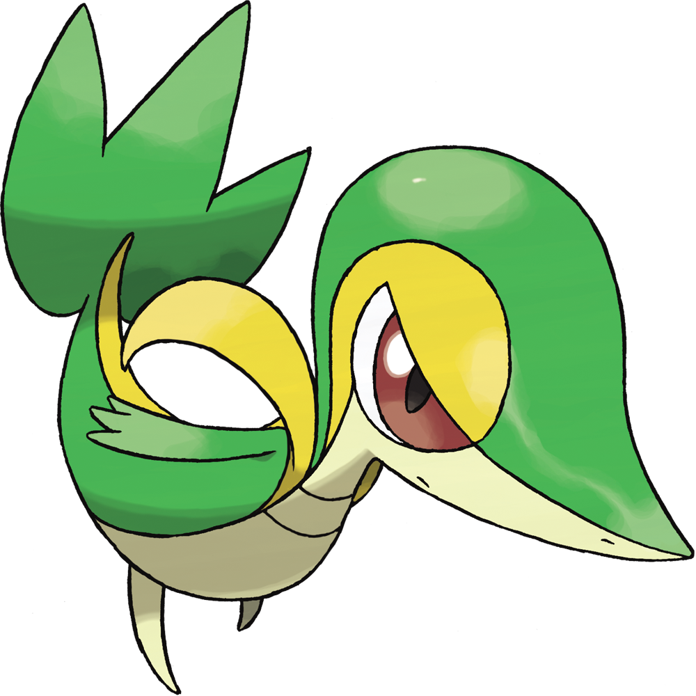 Snivy Pokemon - Snivy Bulbapedia (1000x1000)