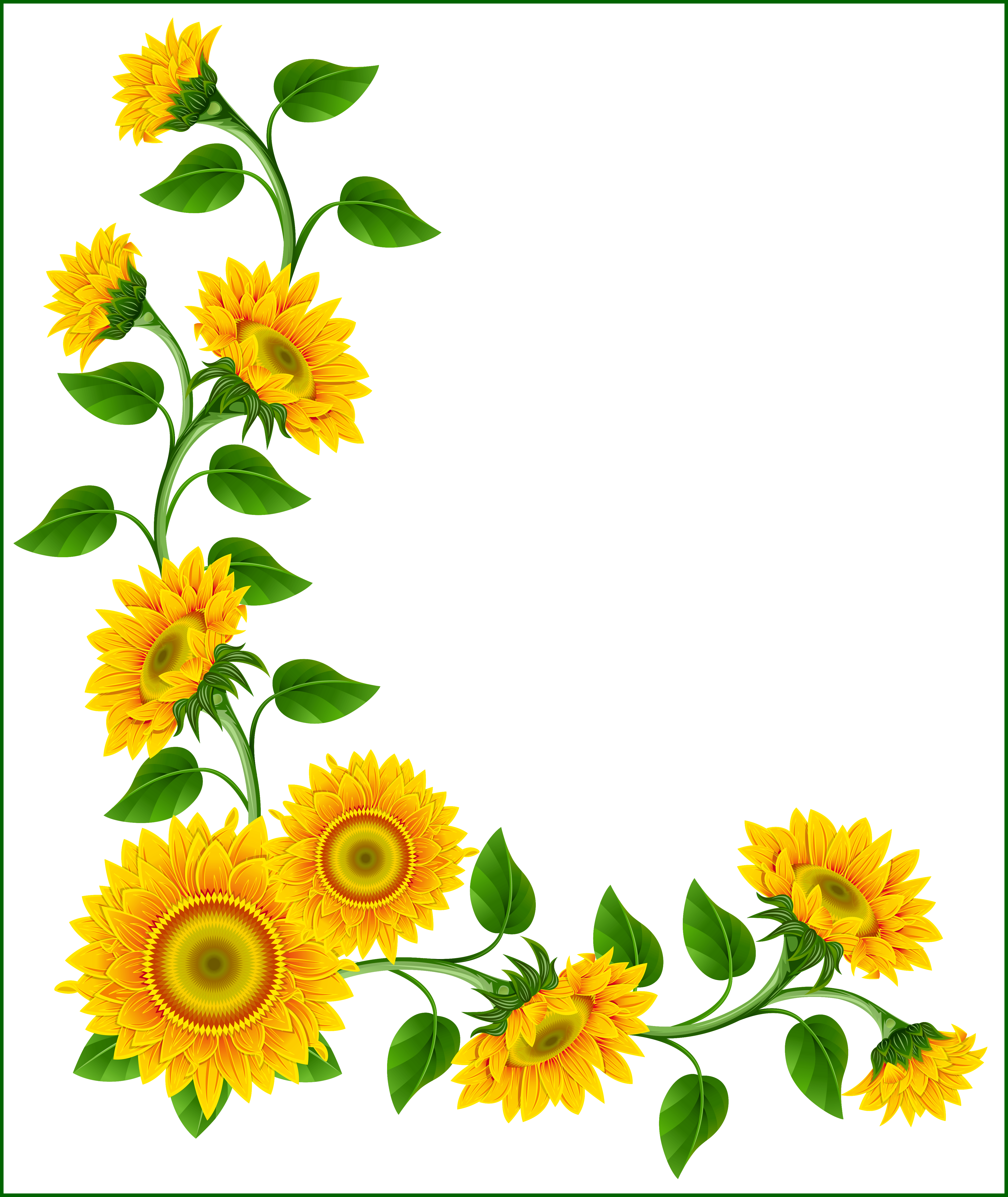 Sunflower Border Decoration Png Clipart Image - Sunflower Border Png (4346x5160)