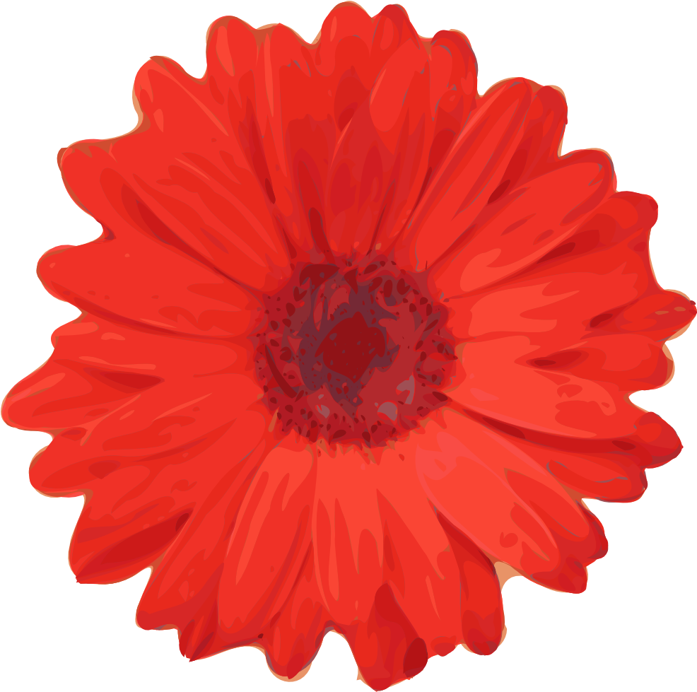 Free Vector Red Flower Pedals Clip Art - Real Flowers Clip Art (985x1000)