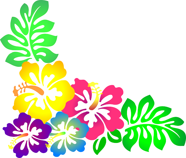 Hibiscus Flower Clip Art - Hawaiian Flower Clipart (640x545)