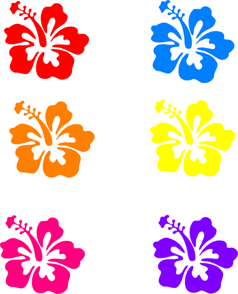 Hibiscus Clipart Rainbow Flower - Hibiscus Clip Art (480x593)