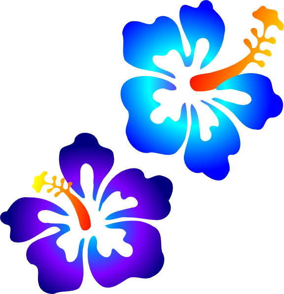 Hibiscus Svg Clip Arts 576 X 595 Px - Hibiscus Clip Art (576x595)