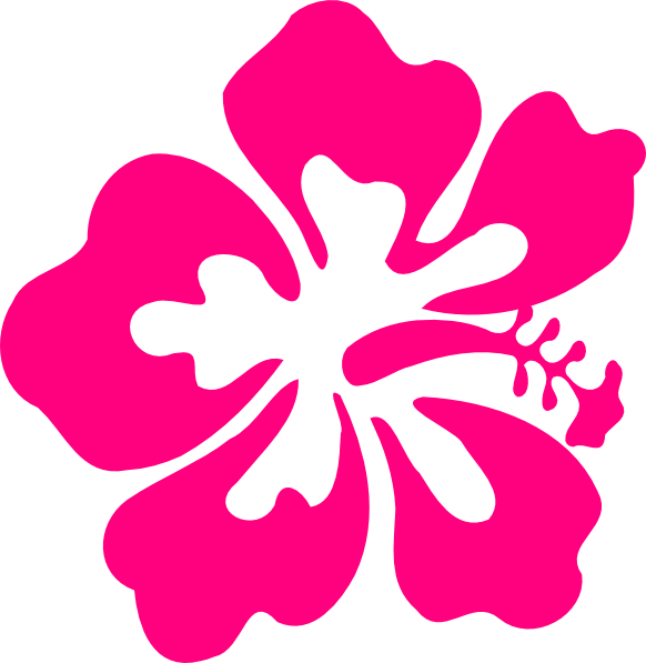 Hibiscus Clip Art (582x597)