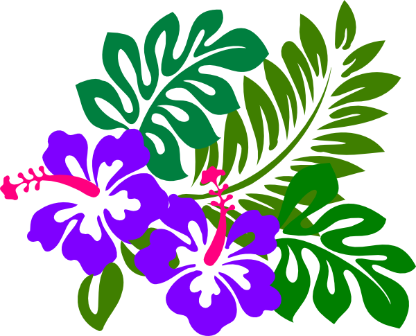 Hibiscus 14 - Hawaiian Flower Png (600x485)