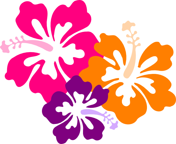 Hibiscus Color Trio Clip Art At Clker - Hibiscus Clip Art (600x489)