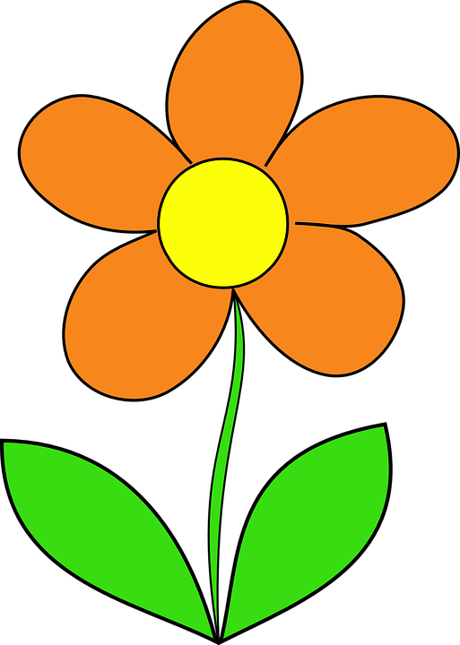 Orange Flowers Clip Art Cartoons - Clip Art Orange Flower (513x720)