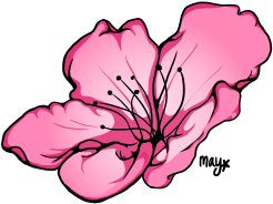 Free Hibiscus Flower Clipart - Rose (500x500)