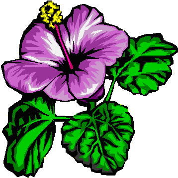 Resources - Flower Border Pattern In Cross Stitch (360x364)