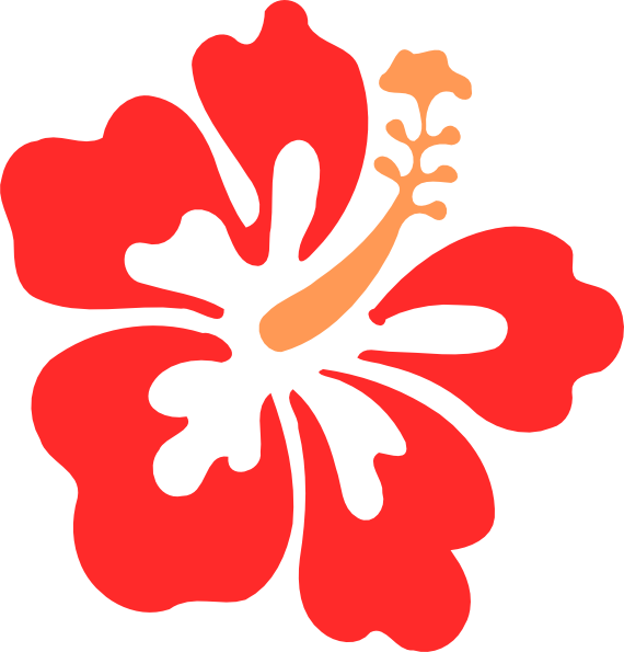 Hibiscus Clipart Jaba - Hibiscus Clip Art Free (570x595)