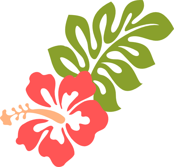 Coral Hibiscus Clip Art - Hibiscus Clipart (600x576)