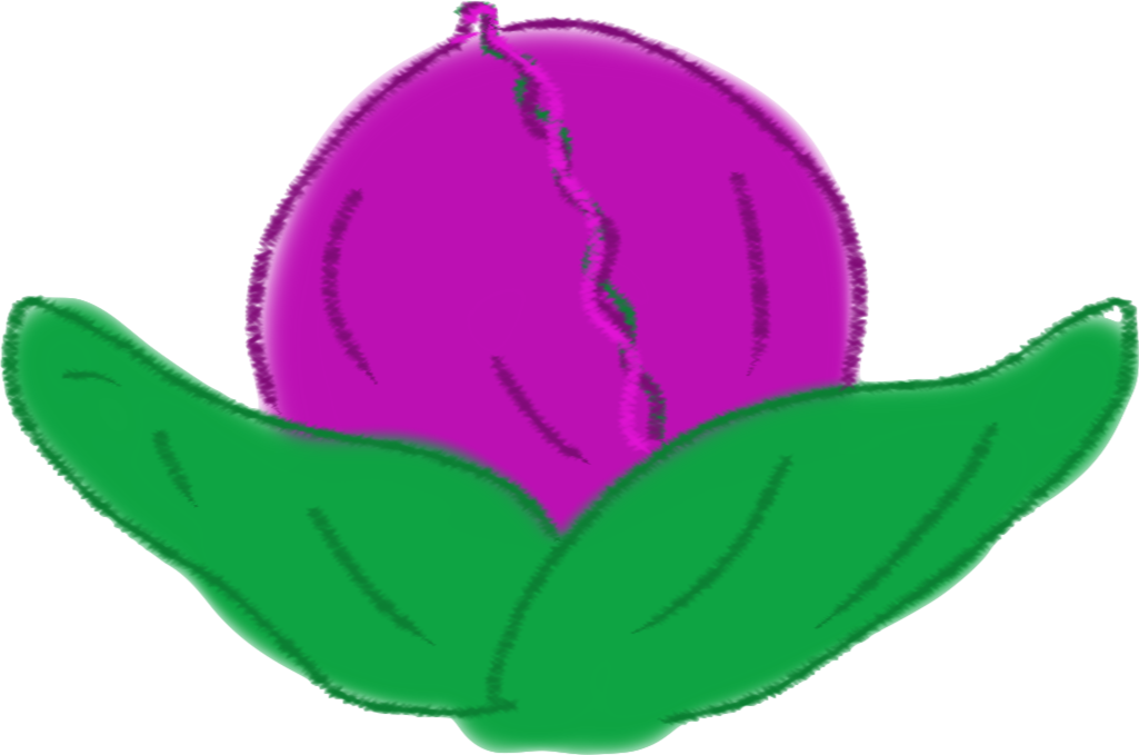 Plant Families - Seed Savers Exchange (1025x679)