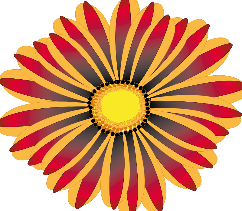 Get Notified Of Exclusive Freebies - Fleur Png (800x697)