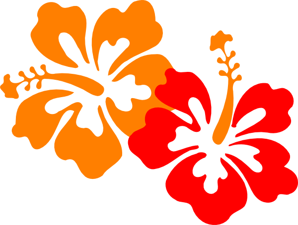 Hawaii Flower (600x454)