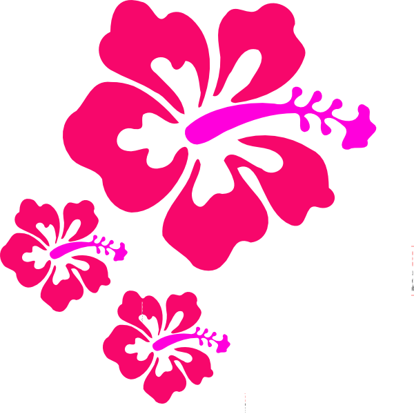 Hibiscus Vector Free Download (600x600)
