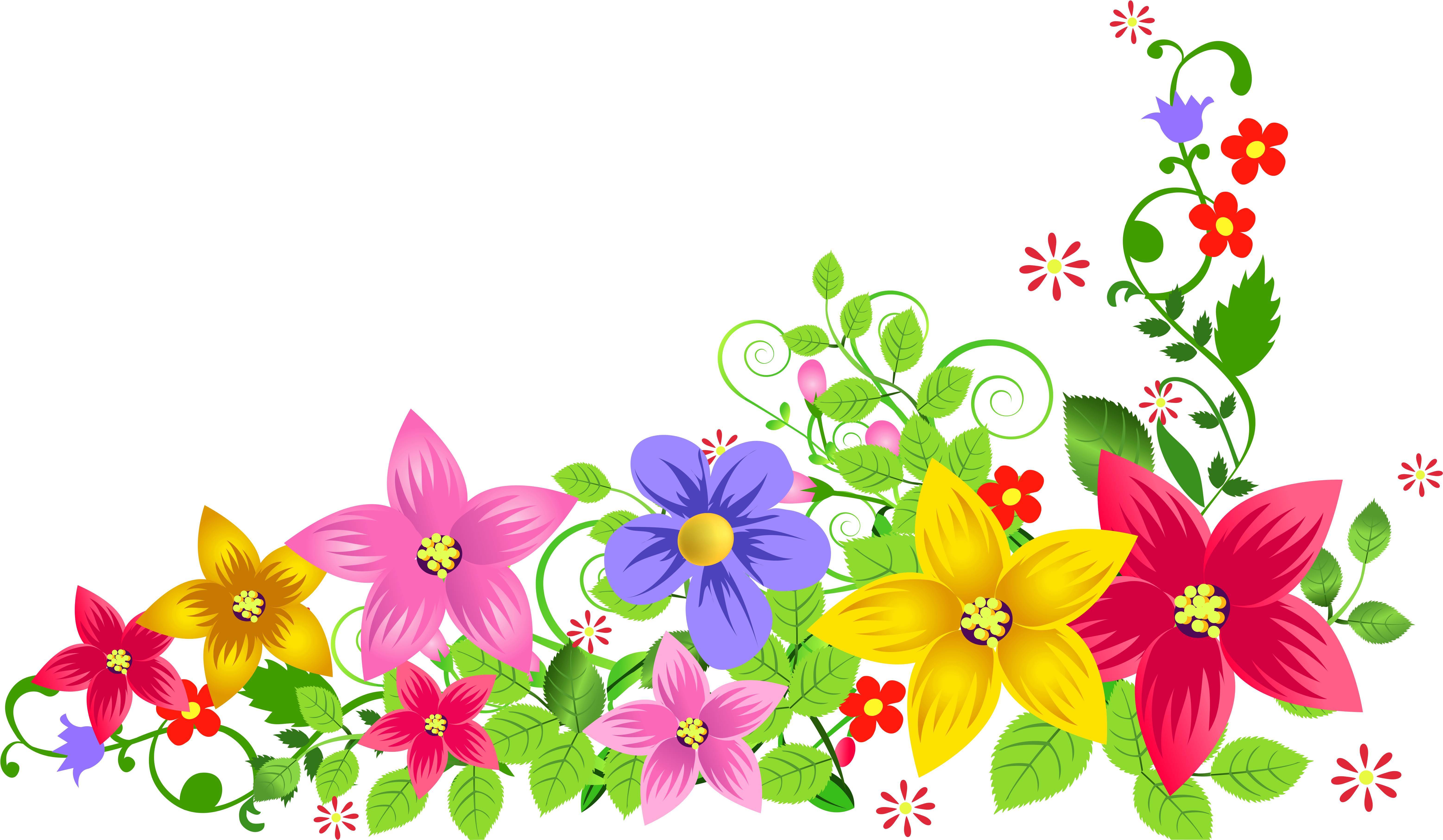 Caribbean Clipart Flower Decoration - Decoration Png (6446x4096)