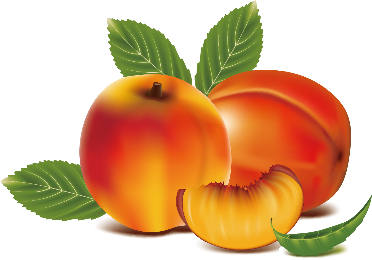 Peach Fruit Clip Art - Peach Fruit Clip Art (1361x914)
