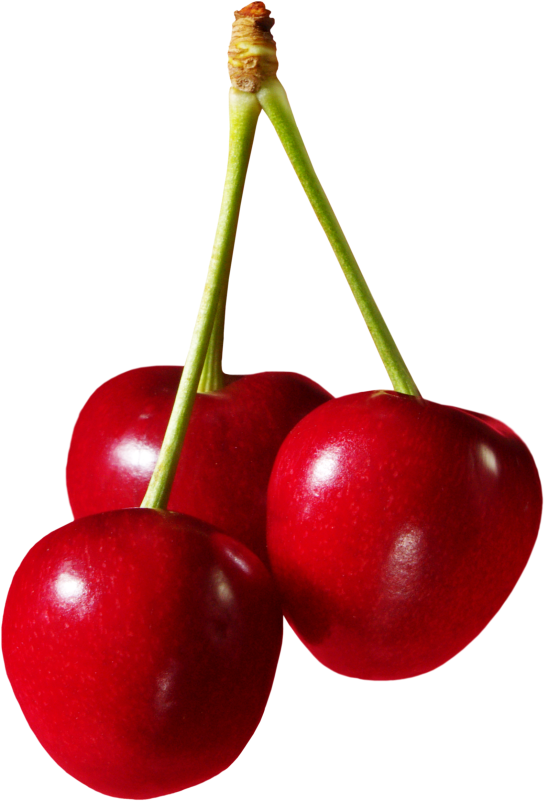 Cherries Fruit Png Clipart - Cherries Png (564x820)