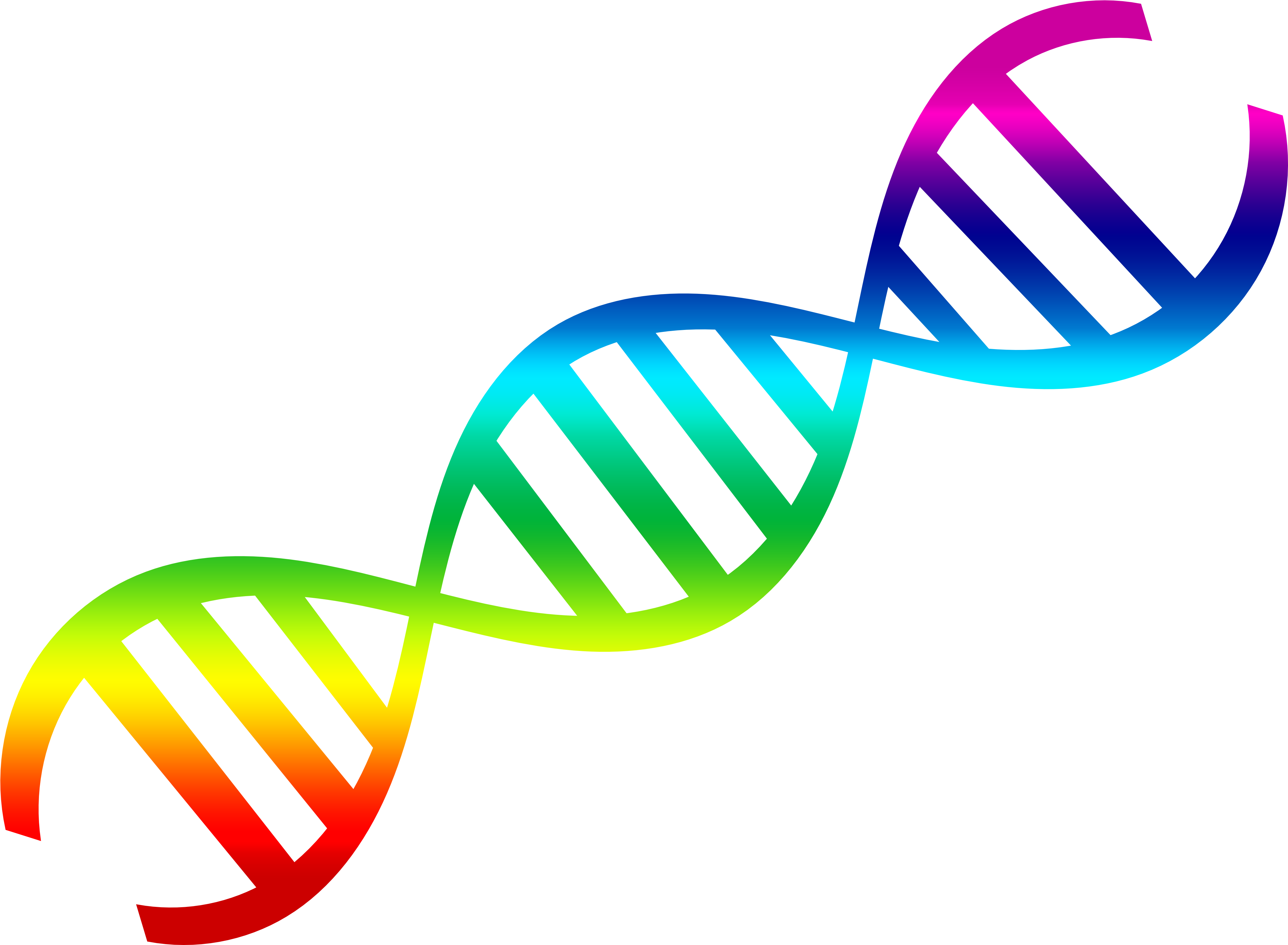 Pngpix Com Dna Vector Png Transparent Image - Dna Double Helix Clipart (4750x3500)