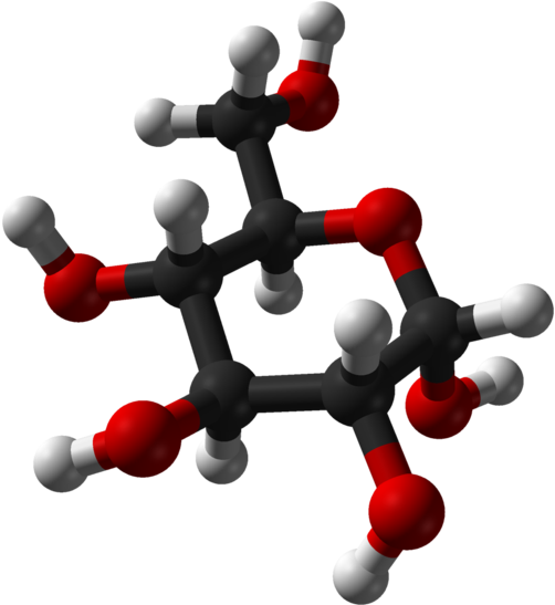 Carbohydrates - Molécule Glucose 3d (553x600)